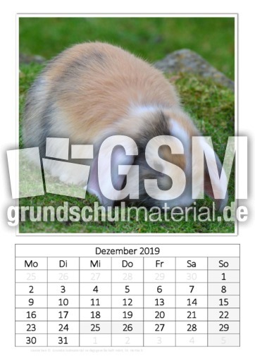 Dezember_Kaninchen_2.pdf
